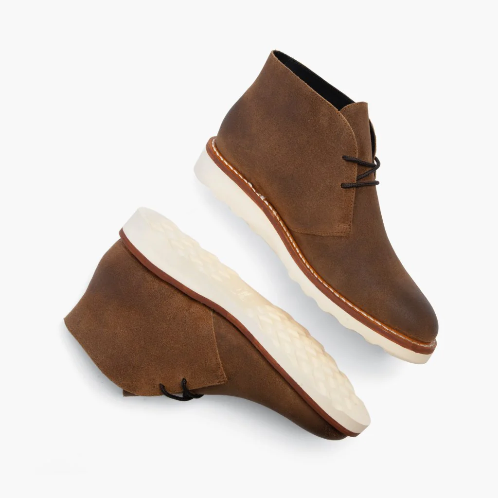 Scout | Safari - Image 4